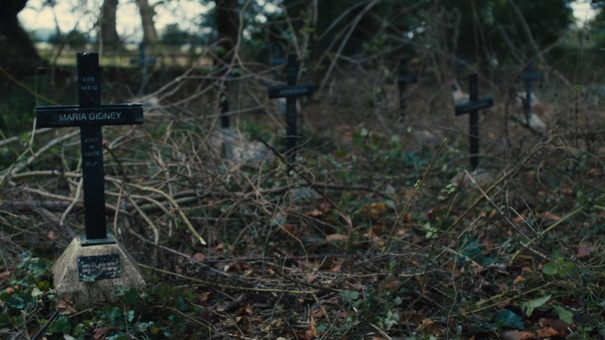 The (hoped for) disappearing cemetery