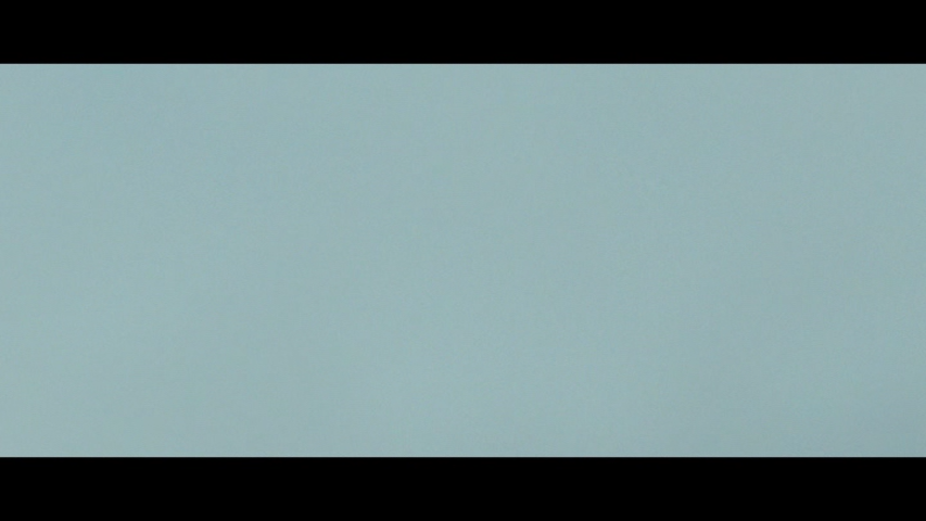 In the fog (the fog of war)...who kills Sushenya?