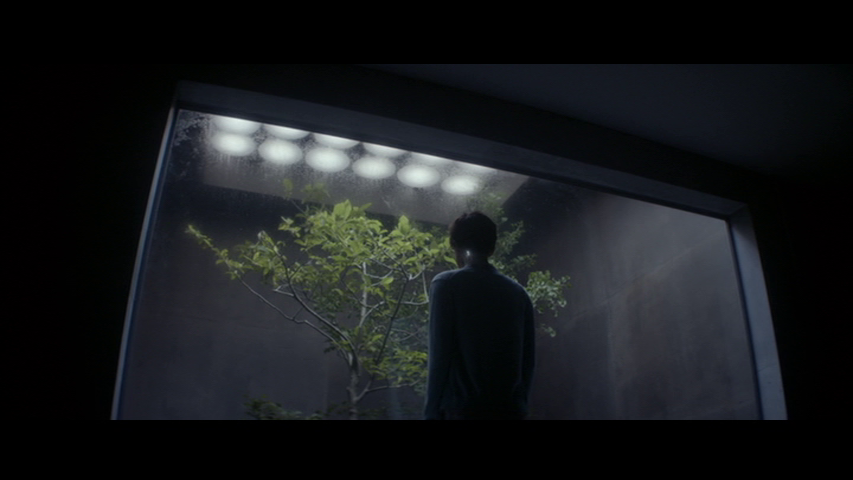 Ava's Atrium1