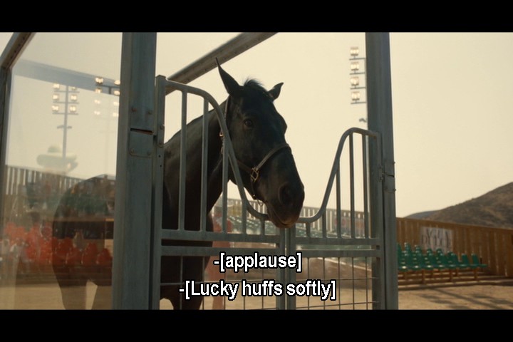 Disposable Horses/Animals