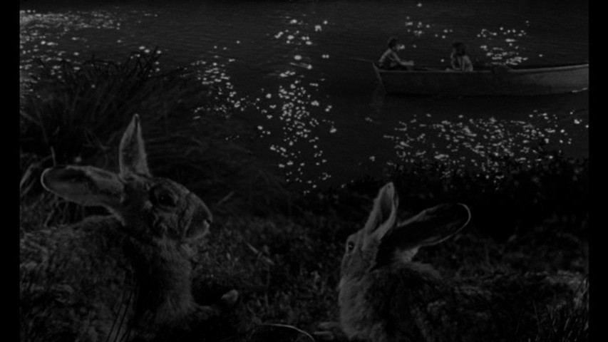 Fairy Tale Images3