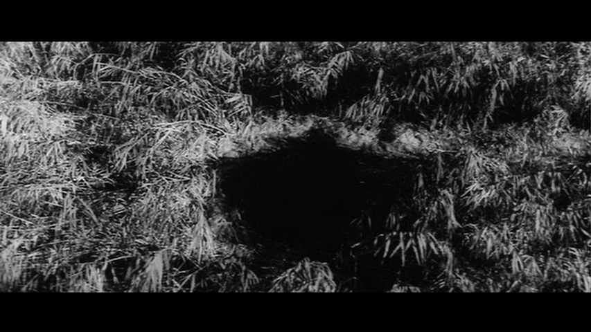 The Pit1