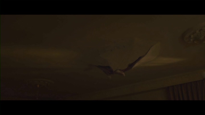 Djinn1