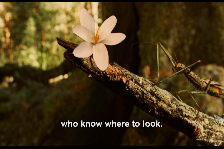 Ofelia and Life