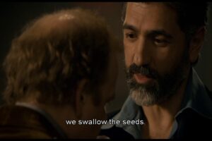 Swallow the Seed2