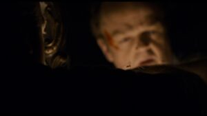 Saving the Spider