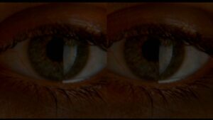 Destabilized Reality3