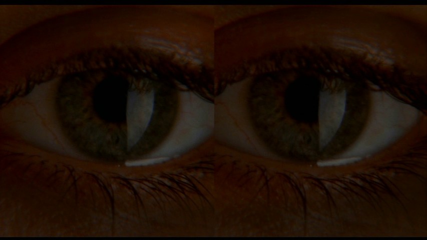 Destabilized Reality3